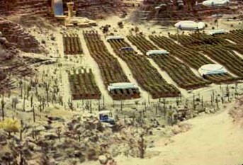 Vast fields of crops were planted on Bar Neth