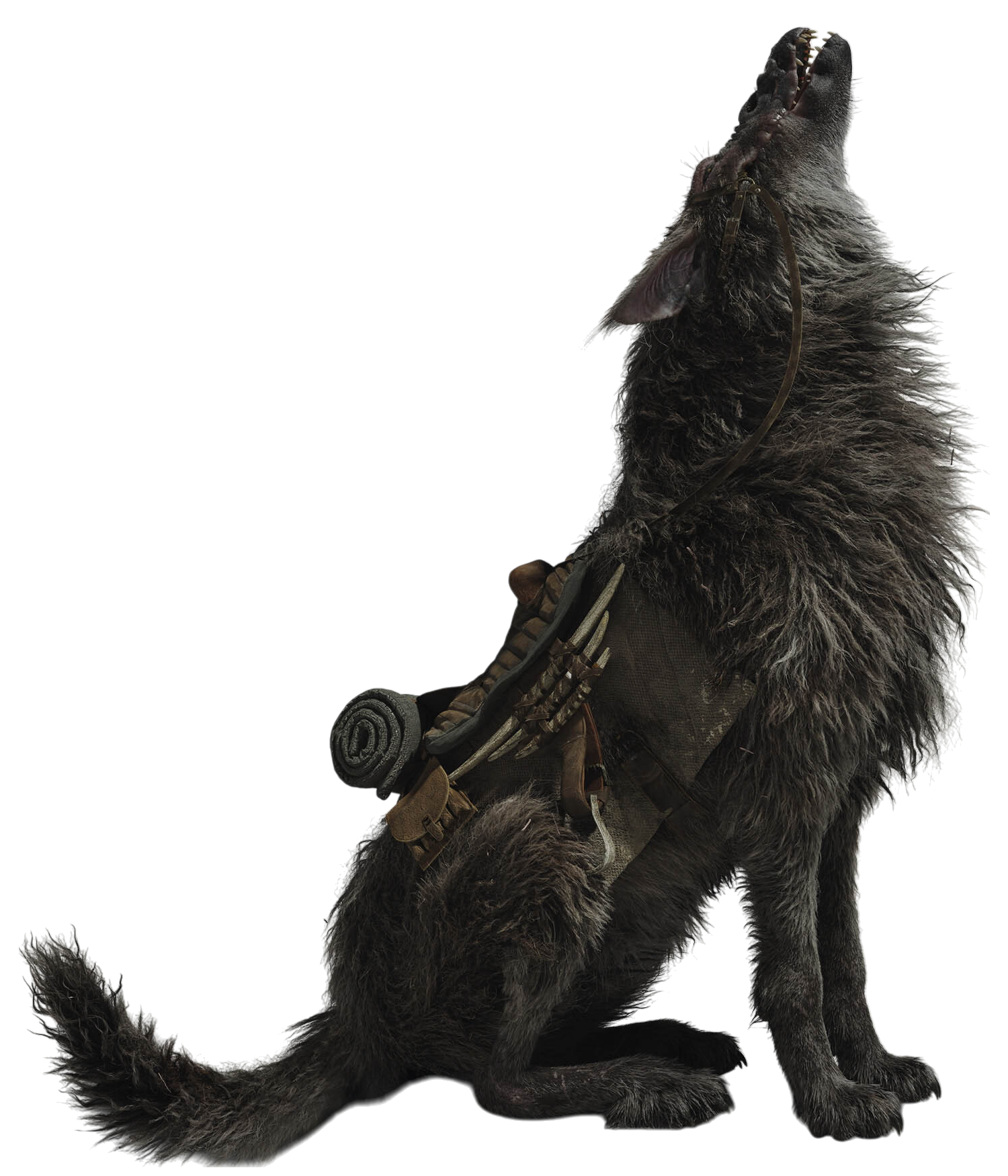 Howler appearance 