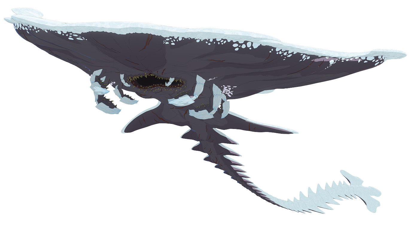 Jakoosk appearance 
