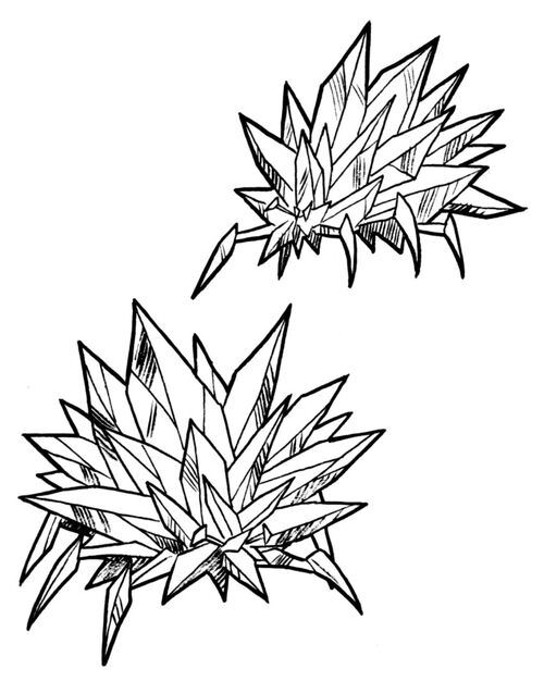 Crystal barnacle