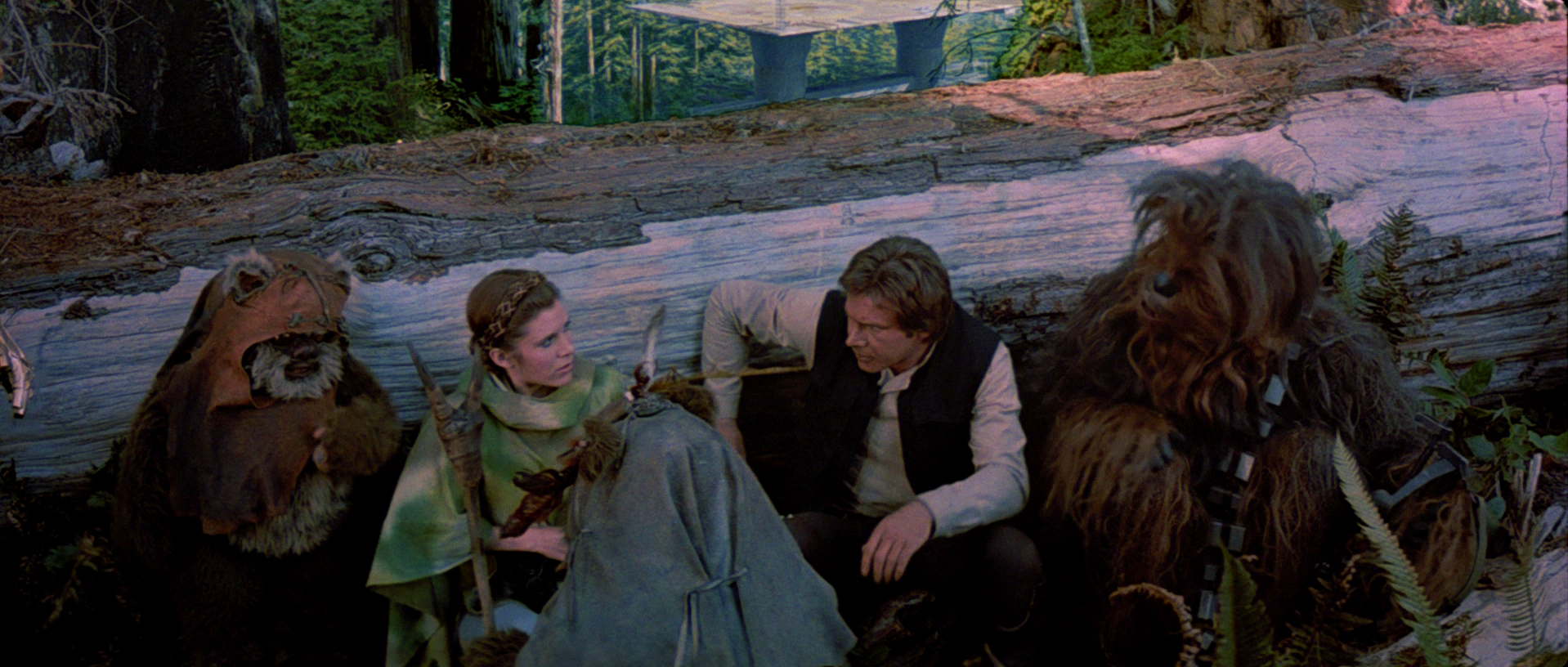 Wicket consults with Paploo about how to help Organa, Solo, and Chewbacca.