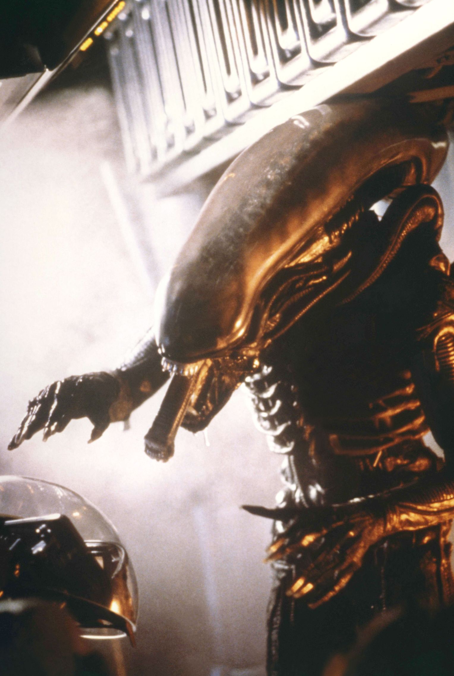 alien vs predator vs star wars alien vs predator vs star wars