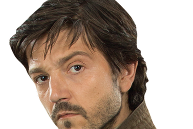 Diego Luna - Wikipedia