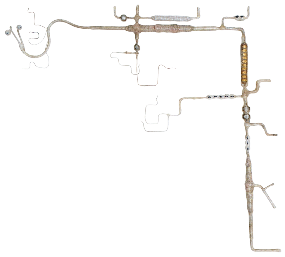 Conduit worm appearance in Common Appearance