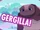 Gergilla (episode)