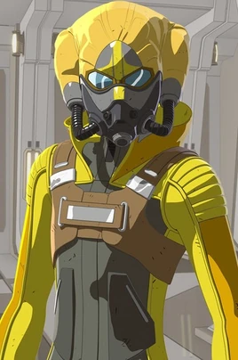 SWResistance-BoKeevil