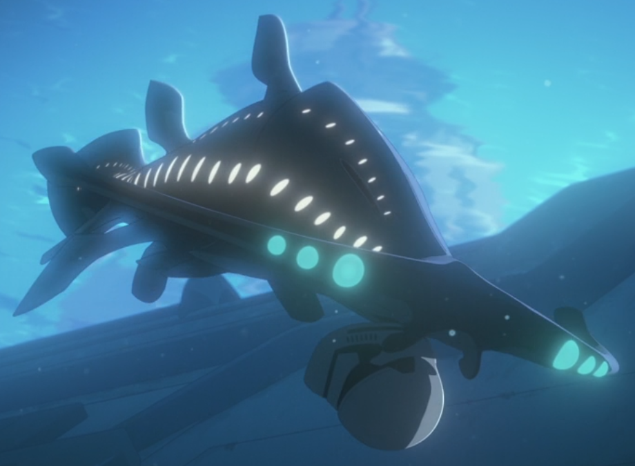 Sharvo fish appearance 