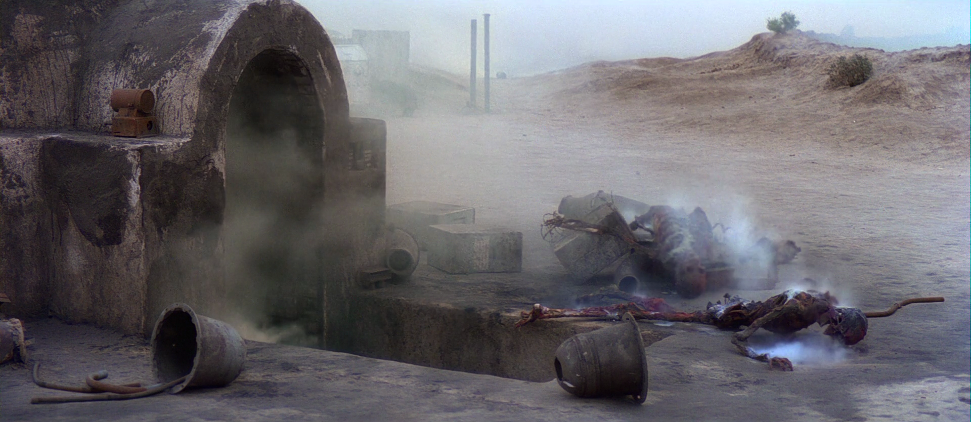 Beru and her husband lay dead at the hands of the Empire.