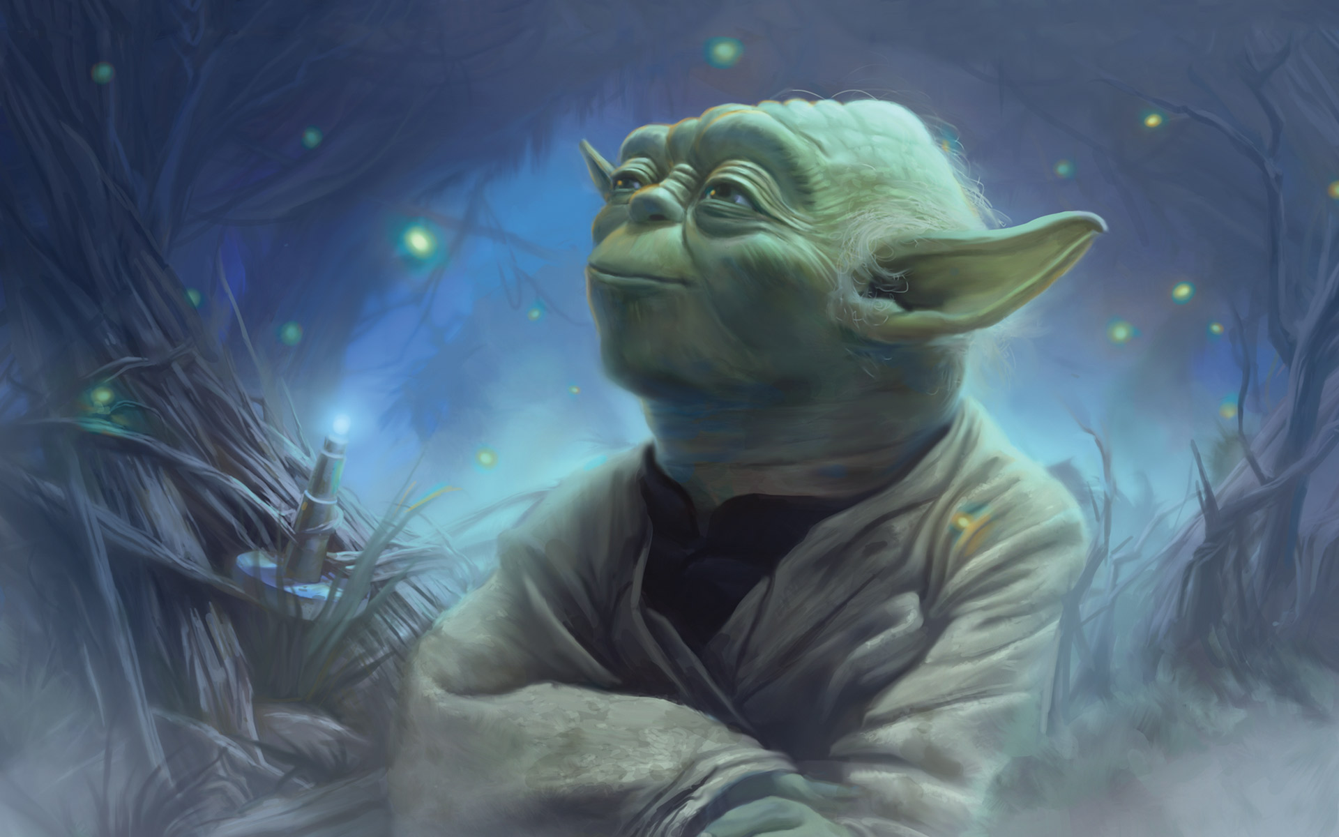 Yoda, who defeated the Bpfasshi Dark Jedi and tended to Car'das' injuries.