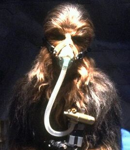 Breath mask