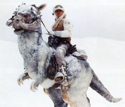 Tauntaun1