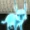 Holopet