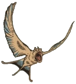 Rawwk appearance 