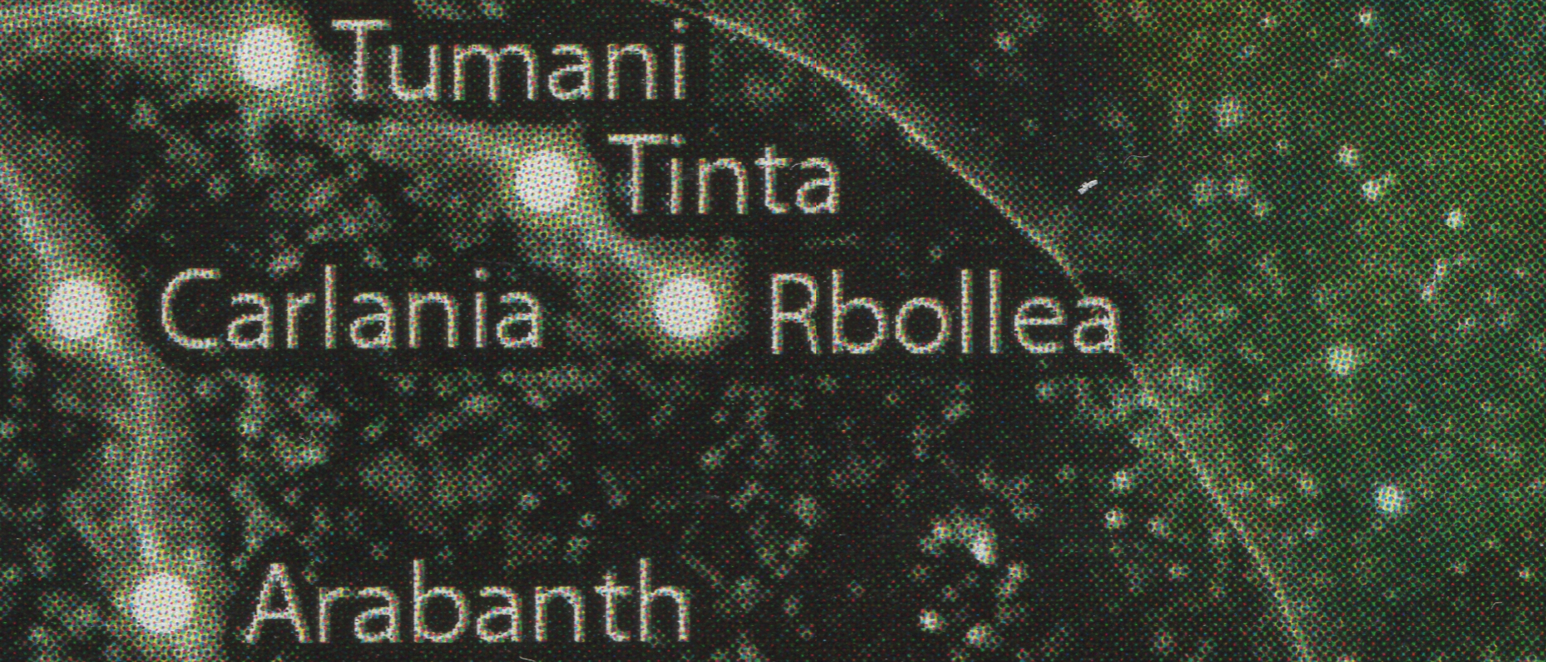 Rbollea system appearance 