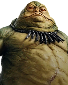 დაახლ. 10 იბ