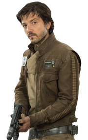 Cassian field jacket