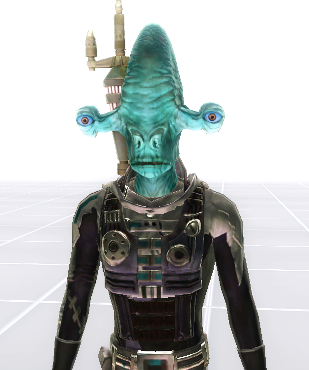 Subject 13 appearance 