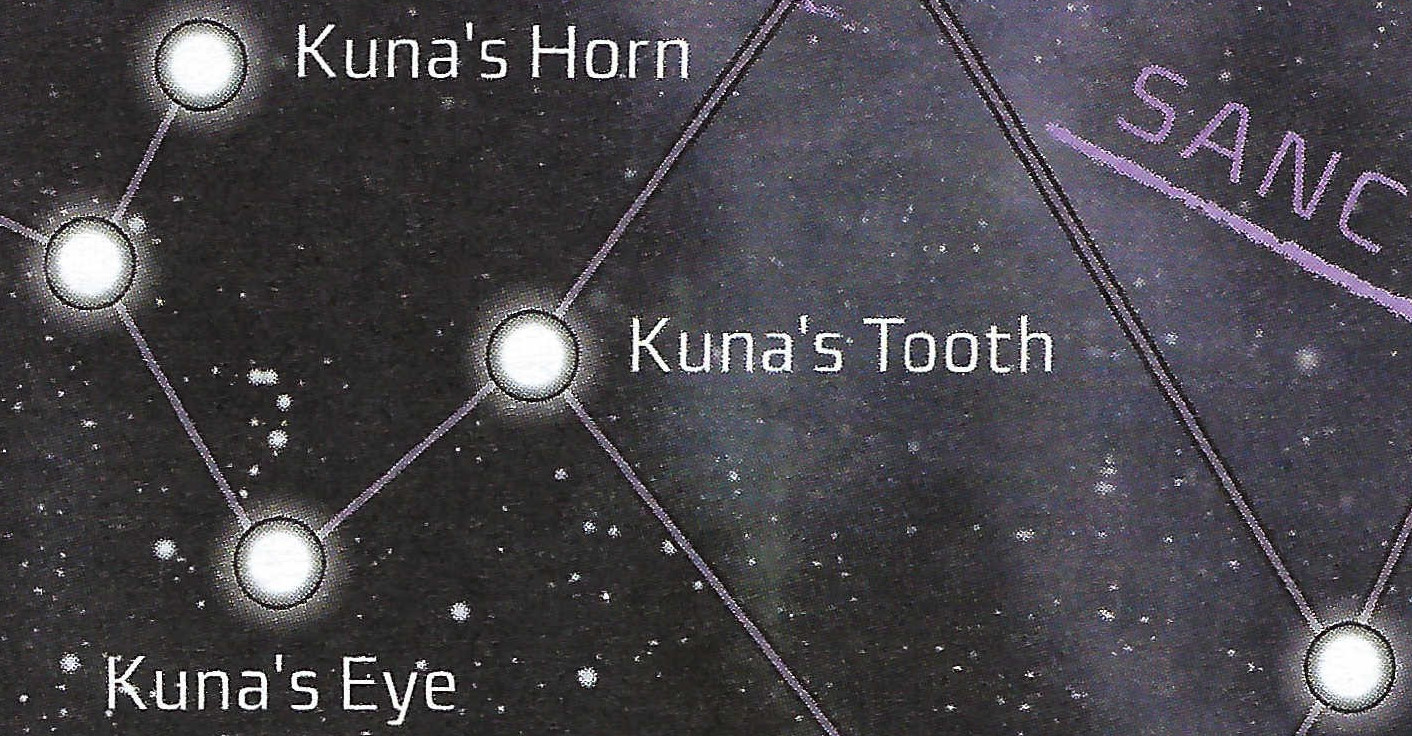 Kuna's Tooth appearance in Common Appearance