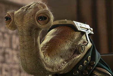 良質  ティーント・パガリス | Fandom | Wookieepedia 