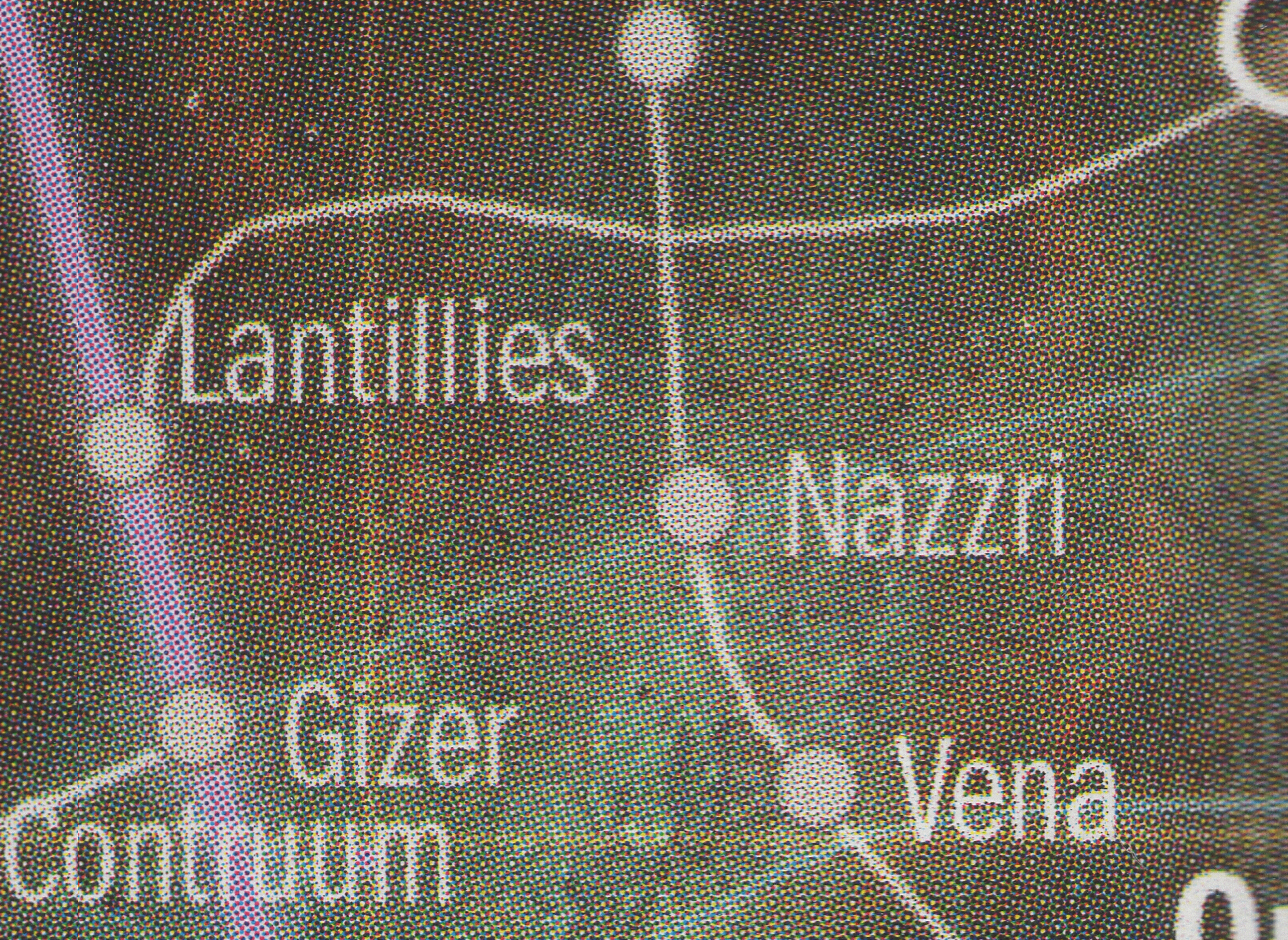 Nazzri appearance 