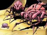 Abersyn symbiote