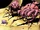 Abersyn symbiote