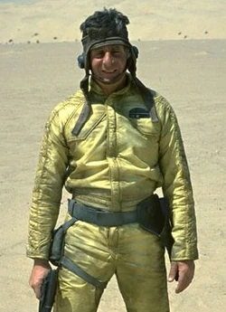 Gailid