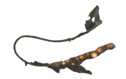 Nightkelp flail appearance 