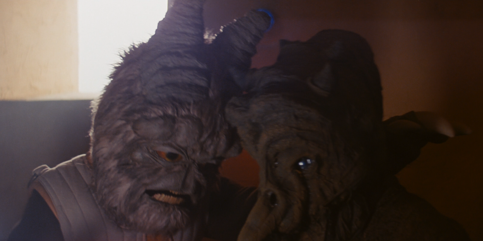 SF・ファンタジー・ホラー Star Wars Felipern Trevagg Feltipern Trevagg | Wookieepedia | Fandom