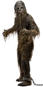 ChewieNeedsABath-SoloUSC