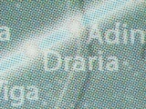 Draria