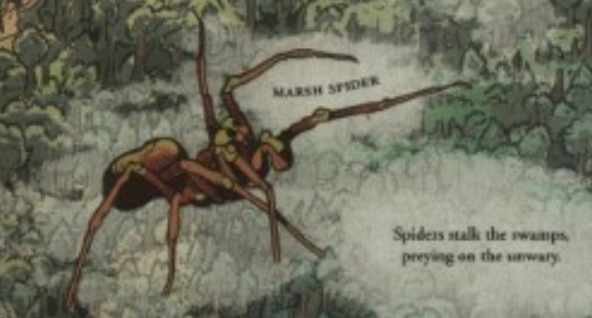 Marsh spider appearance 