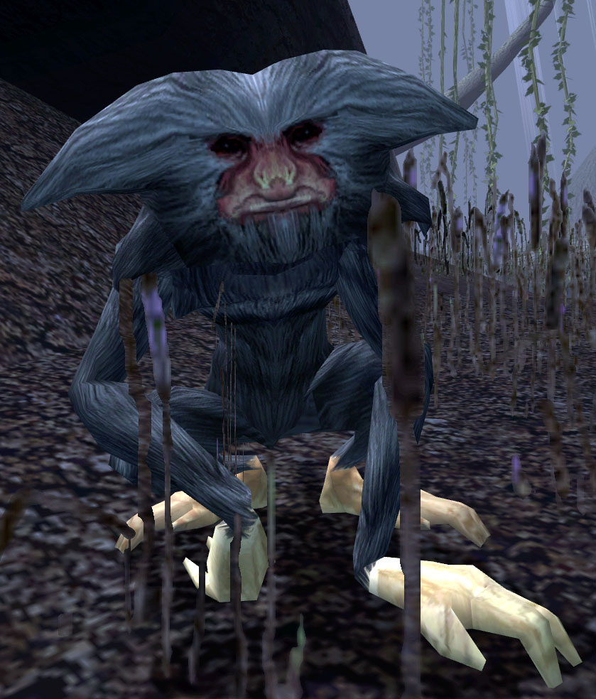 Tach, a species found on Taris and Kashyyyk