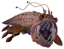 Opee-Sea-Killer-SWCT