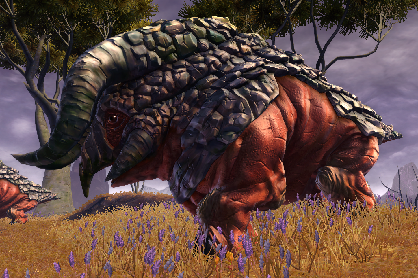 Gapillian grazer appearance 