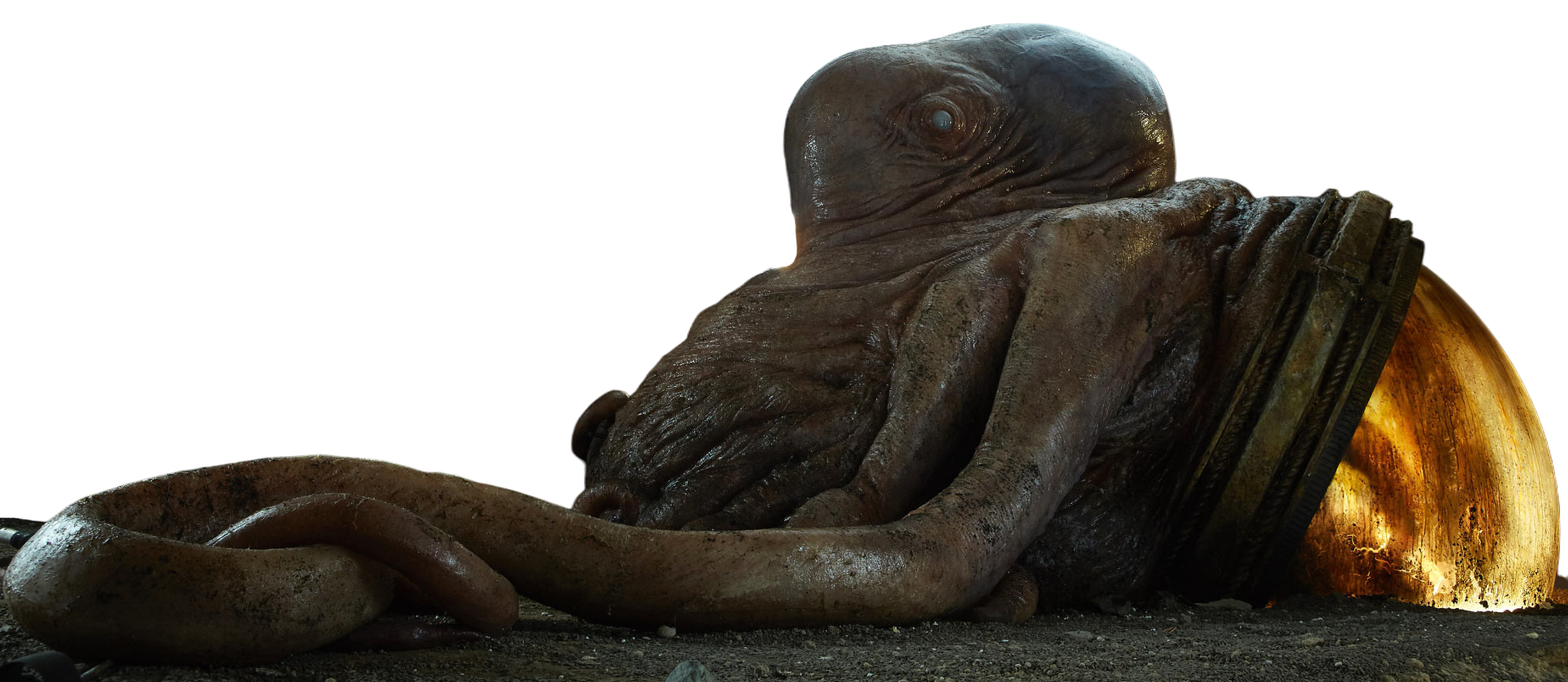 Mairan appearance 