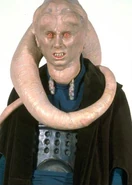 Bib Fortuna, en mannlig twi'lek.