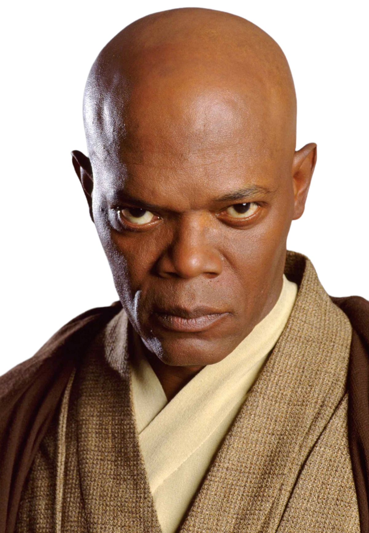 Mace Windu Wookieepedia Fandom