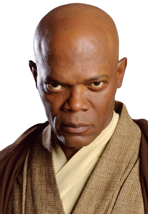 Mace Windu SWI38