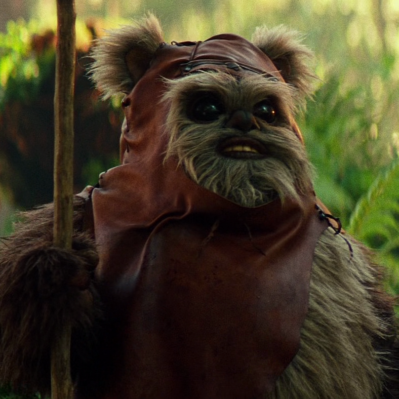 Wicket Wystri Warrick | Wookieepedia | Fandom