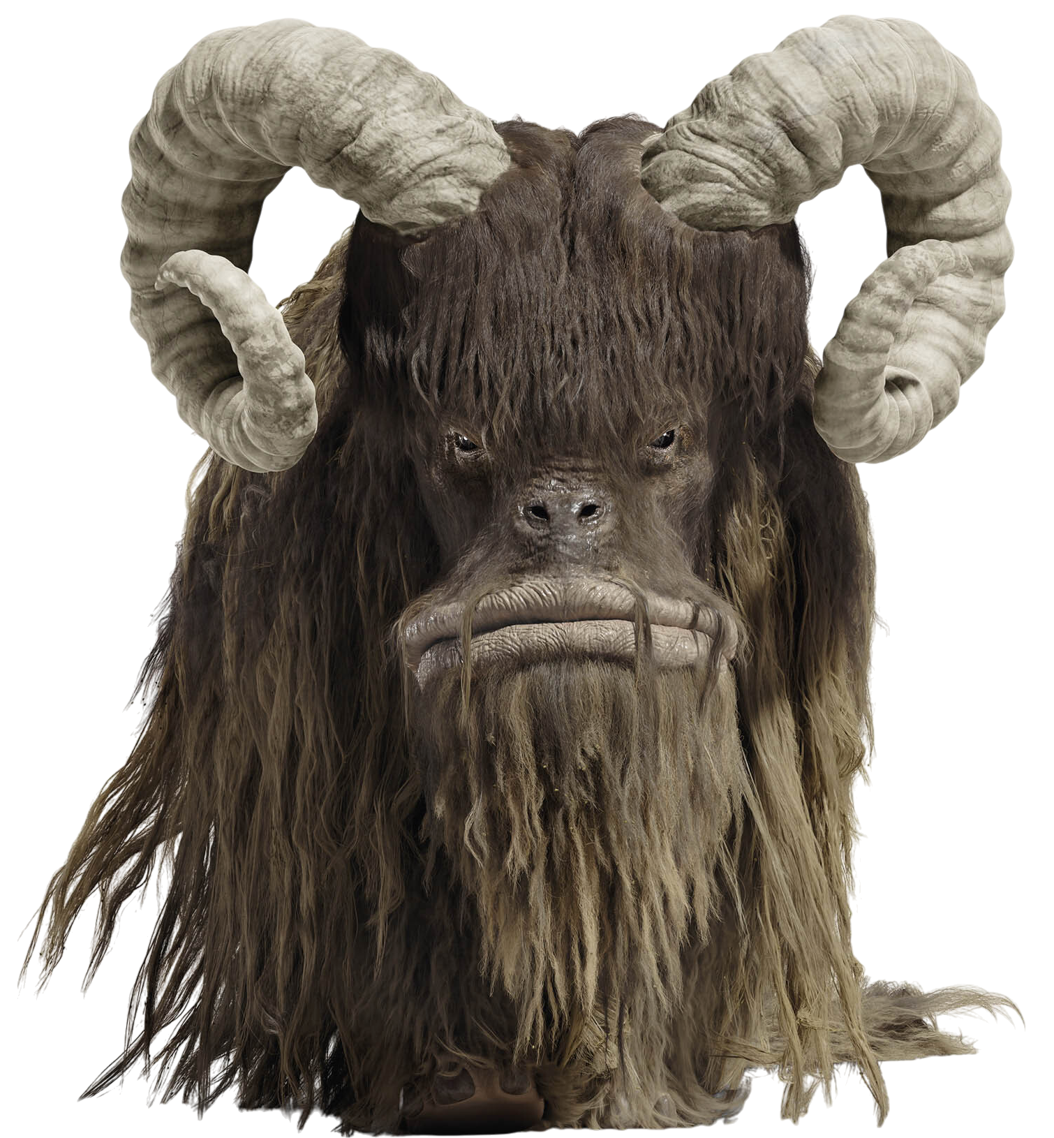 Bantha appearance 