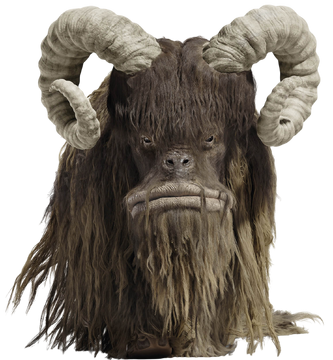 Bantha | Wookieepedia | Fandom