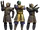BlackSun-SWCT.png