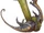 Ibian