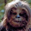 Chewbacca (474 KB) Image
