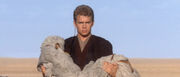 Anakin begraver sin mor