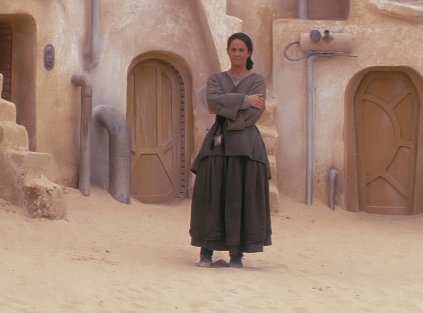 The Skywalkers who played a significant role in galactic history originated from a slave named Shmi Skywalker.