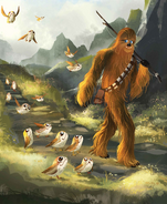 Chewie and the Porgs cover art