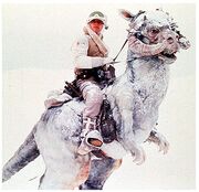 Star-wars-tauntaun