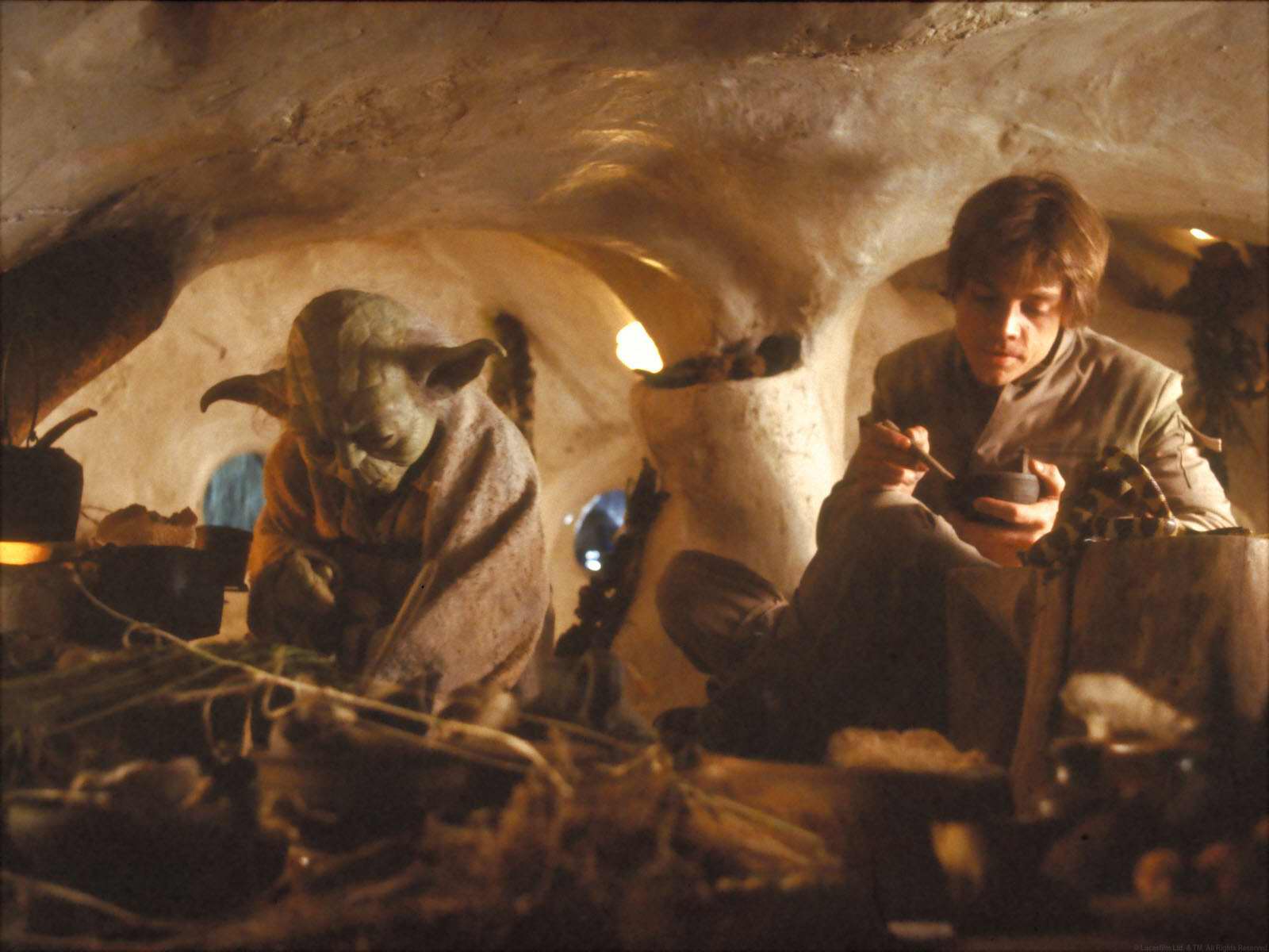 Yoda and Luke Skywalker inside his hut.